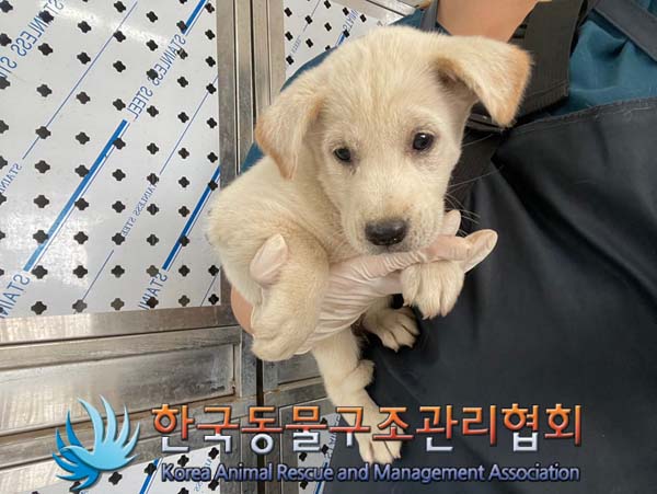 한국동물구조관리협회_441406202401547